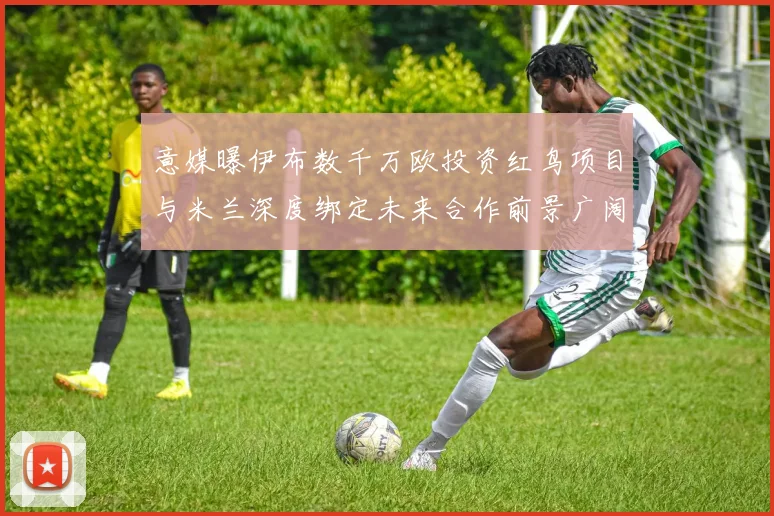 意媒曝伊布数千万欧投资红鸟项目与米兰深度绑定未来合作前景广阔