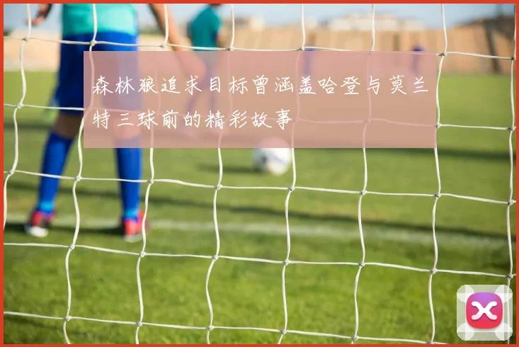 森林狼追求目标曾涵盖哈登与莫兰特三球前的精彩故事